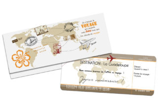Pochette cadeau billet d'avion